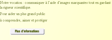 wp5442328f.png