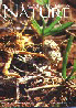 wp697b2f02_0f.jpg