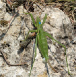 wpe35010d0_0f.jpg