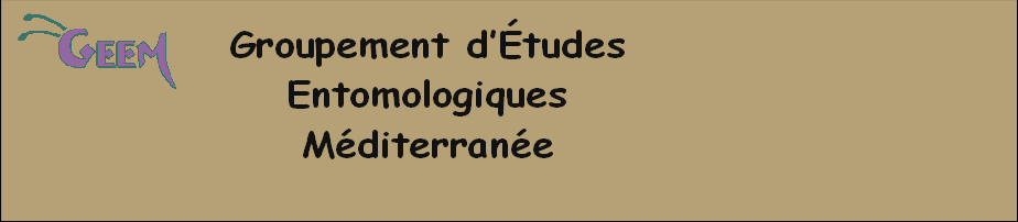 wpd6b570c9.png