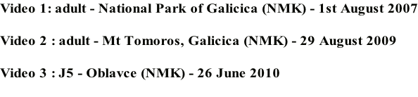 Video 1: adult - National Park of Galicica (NMK) - 1st August 2007  Video 2 : adult - Mt Tomoros, Galicica (NMK) - 29 August 2009  Video 3 : J5 - Oblavce (NMK) - 26 June 2010