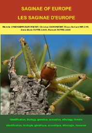 Presentation book Saga website.pdf